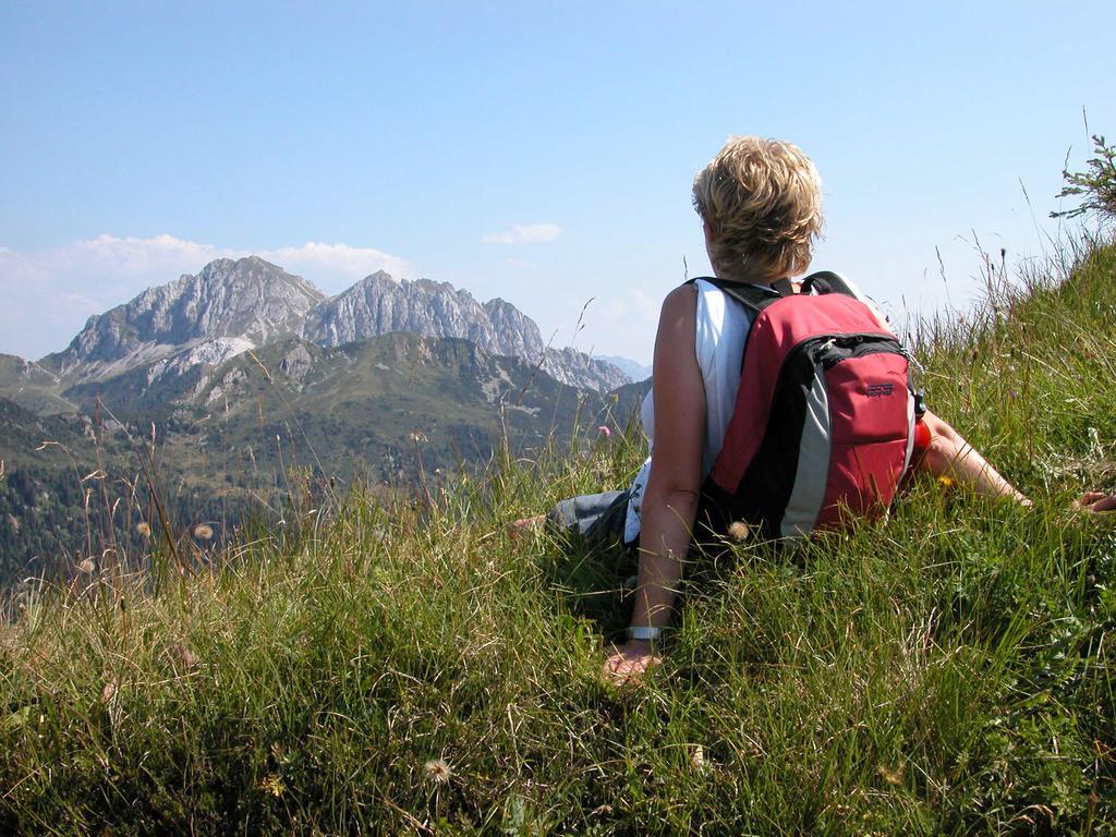 Alpen Adria Hotel & Spa Presseggersee Dış mekan fotoğraf